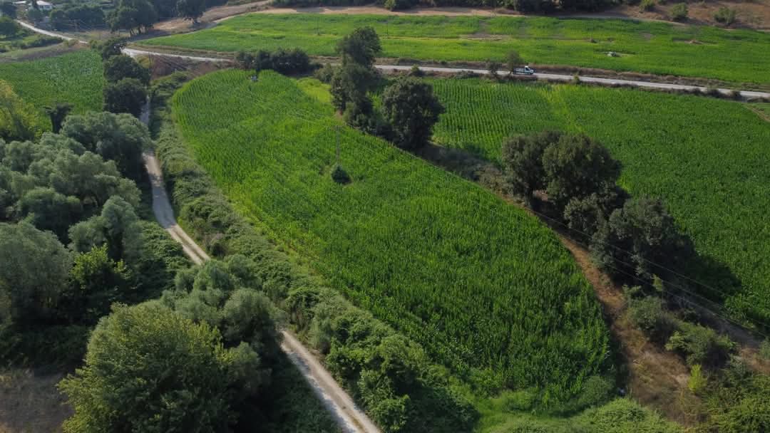 Se & As Gayrimenkul & Mimarlık Balıkesir Bandırma - Güvenilir Emlak Ofisi, Satılık ve Kiralık Daireler, Sahibinden ve Hepsiemlak İlanları, Profesyonel Mimarlık ve İnşaat Hizmetleri